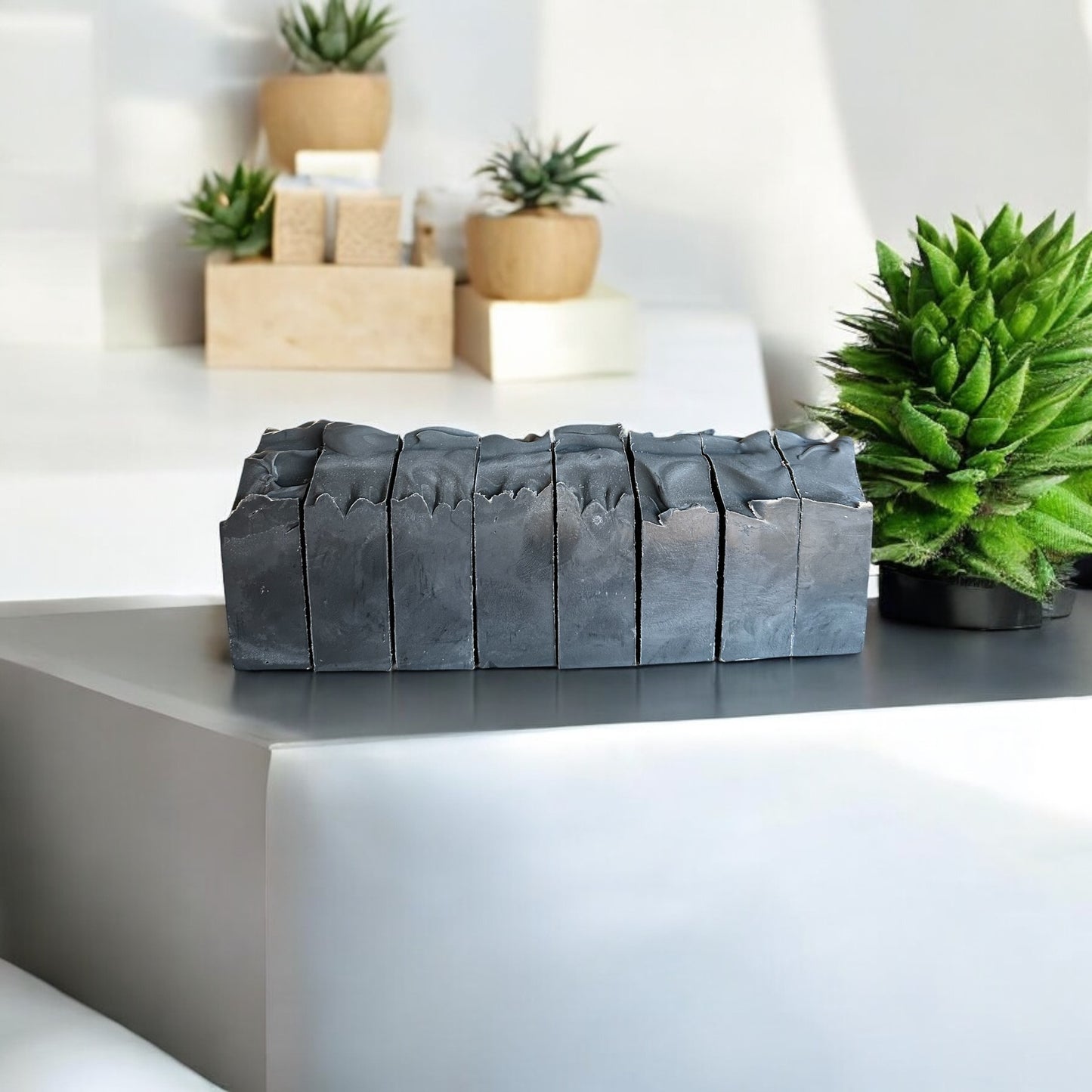 Bad Girl’s Minty Coal - Bar Soap