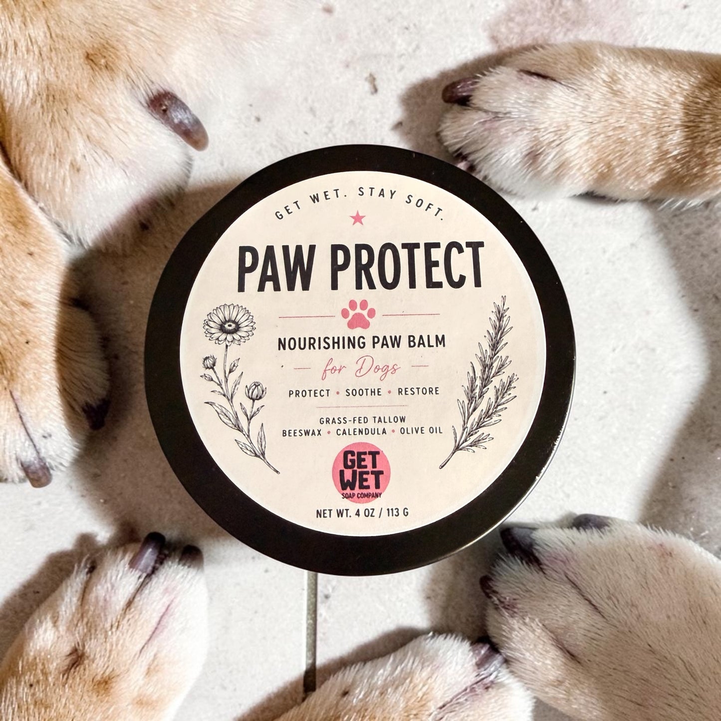 Paw Protect Tallow Balm - Balm for your dogs paws